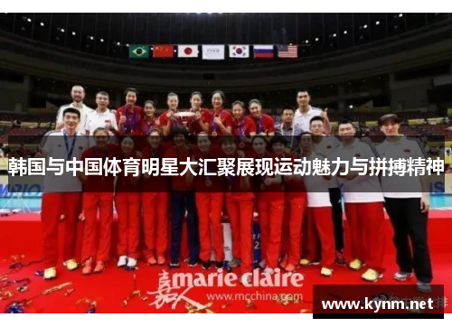 韩国与中国体育明星大汇聚展现运动魅力与拼搏精神